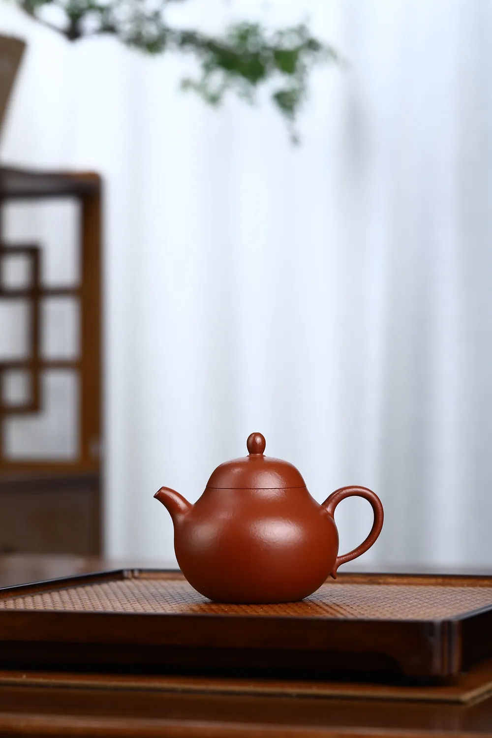 棠梨