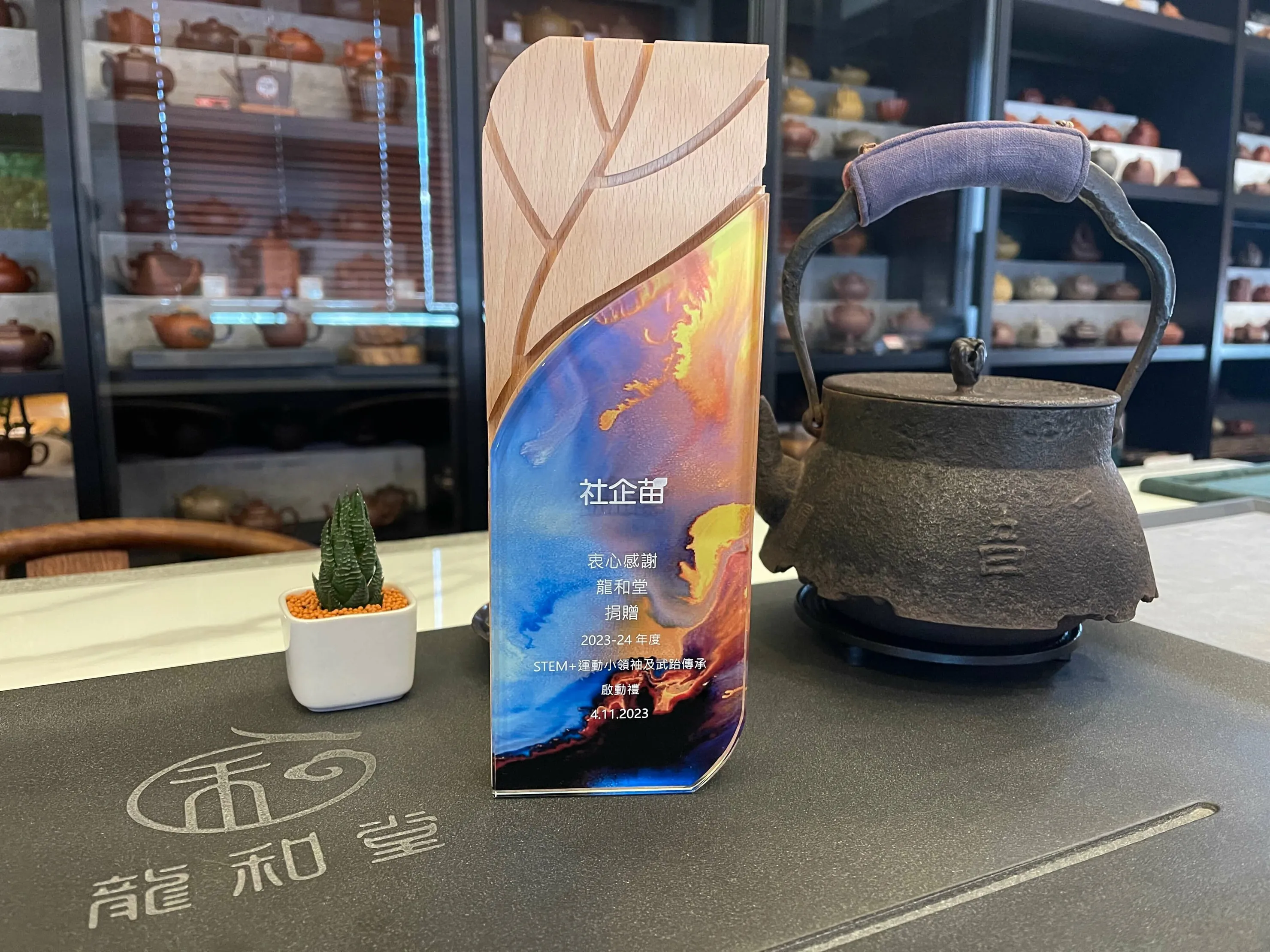育苗不輟 龍和堂續推 STEM 武跆傳承計劃