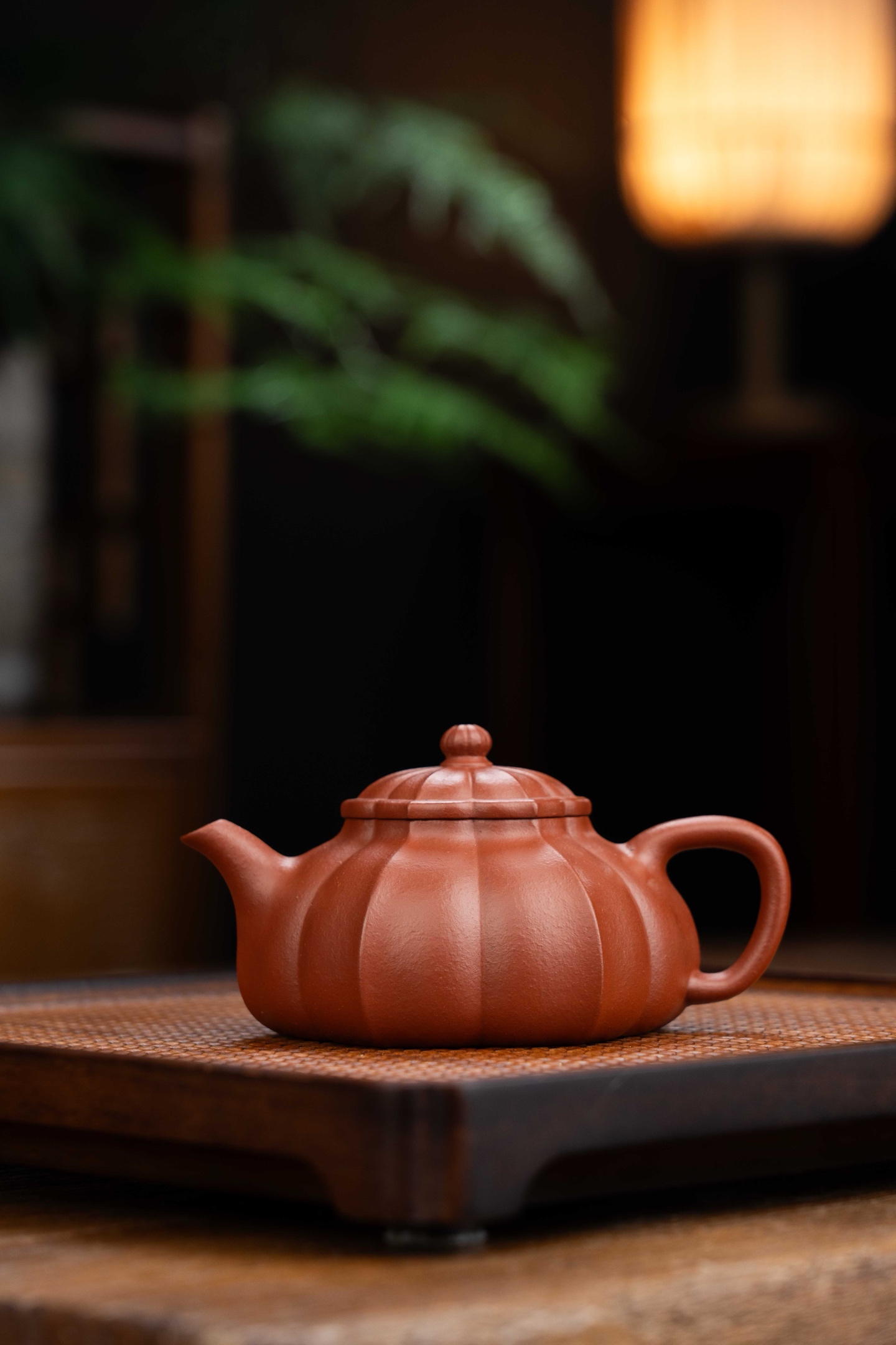 葵花逸風